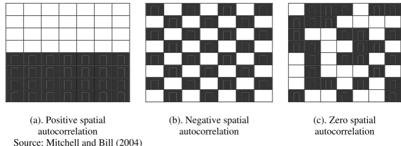 Figure 1. Spatial Autocorrelation Types 