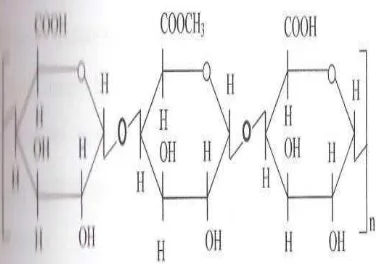 Gambar  4. Struktur molekul asam pektinat  