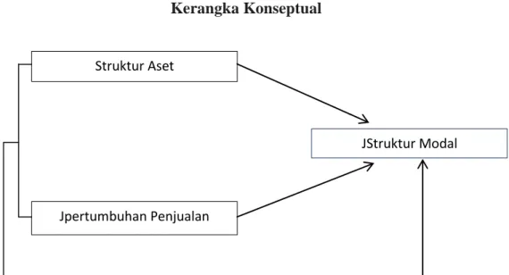 Gambar 2.1  Kerangka Konseptual 
