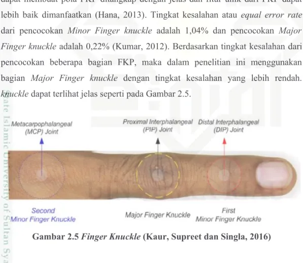 Gambar 2.5 Finger Knuckle (Kaur, Supreet dan Singla, 2016)