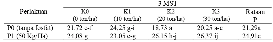 Tabel 1.  Tinggi Tunas Utama Dengan Pemberian Kompos Limbah Padat Pengolahan Minyak Nilam Dan Pupuk Fosfat (K X P) Pada Umur 3 MST  