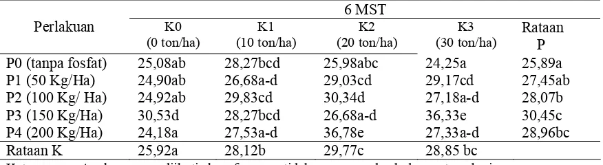Tabel 2. Tinggi Tunas Utama Dengan Pemberian Kompos Limbah Padat Pengolahan Minyak Nilam Dan Pupuk Fosfat (K X P) Pada Umur 6 MST  