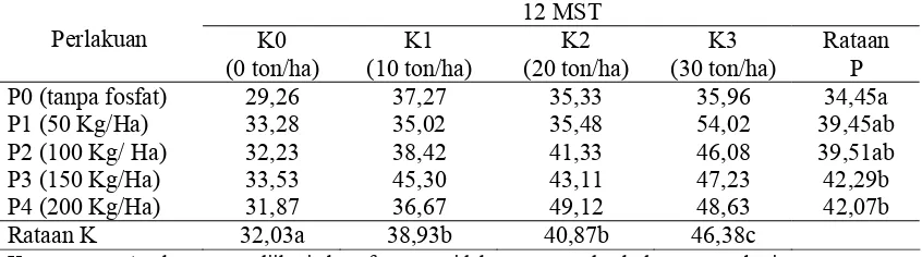 Tabel 4.  Tinggi Tunas Utama Dengan Pemberian Kompos Limbah Padat Pengolahan Minyak Nilam Dan Pupuk Fosfat (K X P) Pada Umur 12 MST  
