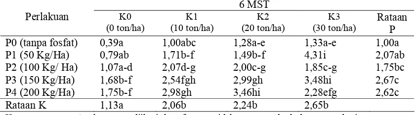 Tabel 14. Bobot Kering Daun Sampel Dengan Pemberian Kompos Limbah Pada Pengolahan Minyak Nilam Dan Pupuk Fosfat (K X P) Pada Umur 6 MST  