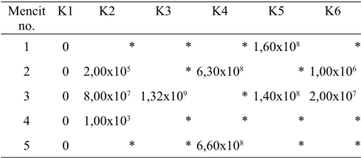 Tabel 3.  Hasil  Colony Counting (CFU/mL) cairan intrape- intrape-ritonium mencit hasil reisolasi metode A