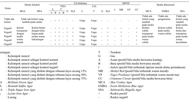Tabel 5.   Pengamatan hasil uji kualitatif (reidentifi kasi bakteri yang terdapat dalam cairan intraperitonium mencit hasil reisolasi)  metode A