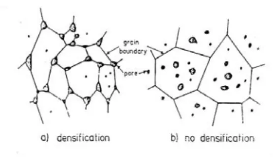 Gambar 3.  Mekanisme sintering [2]  