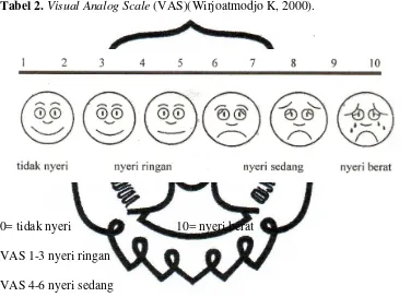 Tabel 2. Visual Analog Scale (VAS)(Wirjoatmodjo K, 2000). 