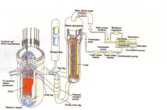 Gambar 2. Perkembangan internal teras reaktor daya PWR [7] 