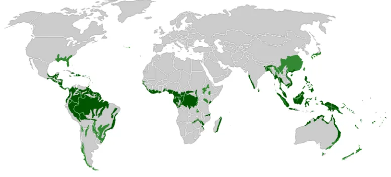 Gambar 1. Sebaran hutan hujan tropis 