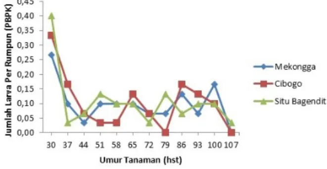 Gambar 2.Fluktuasi rata-rata jumlah kelompok telur penggerek  batang padi kuning (PBPK) Scirpophaga incertulas Walker pada  tiga varietas tanaman padi pada  musim tanam Desember  2016-Maret 2017 di Desa Kemumu, Kabupaten Bengkulu Utara 
