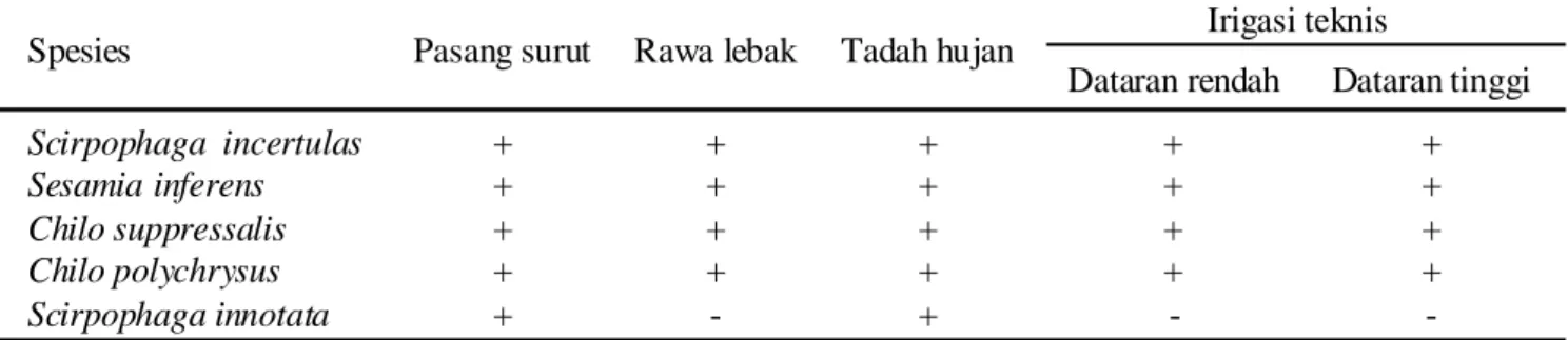 Tabel 4.  Persentase serangan PBP  pada berbagai tipologi lahan sawah di Provinsi Jambi