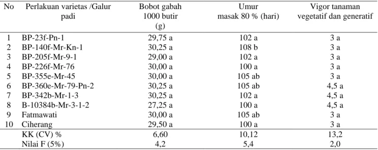 Tabel 3. Keragaan berat /1000 butir, umur masak dan vigor tiap galur / varietas  No  Perlakuan varietas /Galur 