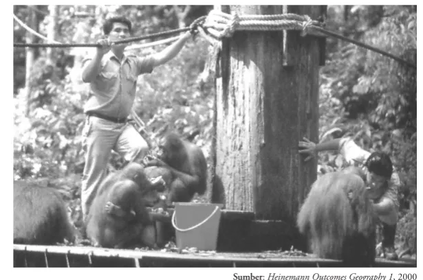 Gambar 1.20Orangutan yang berada di Pulau 
