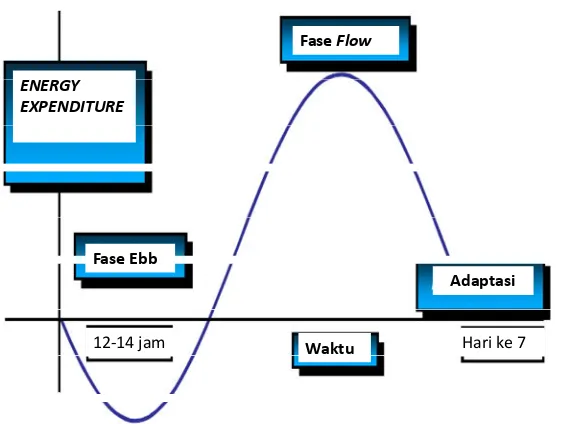 Gambar 2.3 Fase ebb dan fase flow (Preiser et al., 2014) 