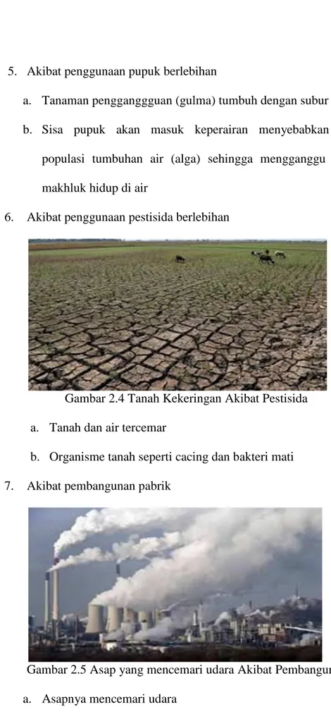 Gambar 2.4 Tanah Kekeringan Akibat Pestisida a. Tanah dan air tercemar