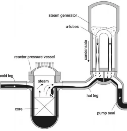 Gambar 1.3 Konfigurasi pemipaan PWR Konvoi German dan jalur aliran  kondensasi reflux (Seidel dkk., 2010) 