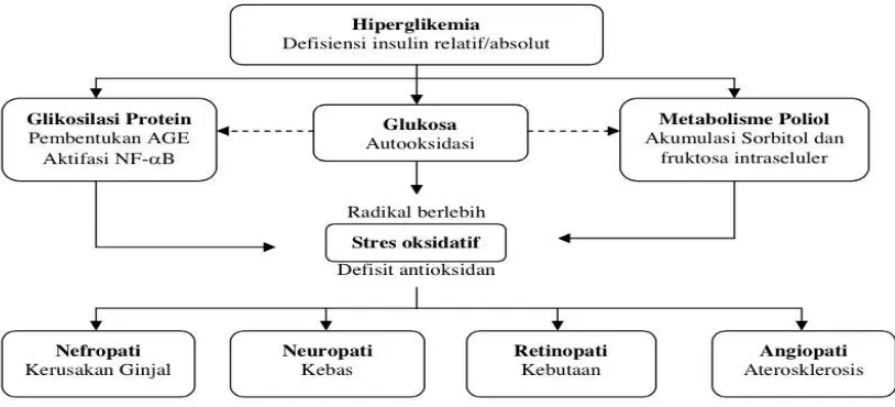 Gambar 2:  Stres oksidatif dan komplikasi lanjutan pada diabetik (Grober, 2012)  