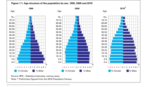 Figure 1.1: Age structure of the population by sex, 1990, 2000 and 2010