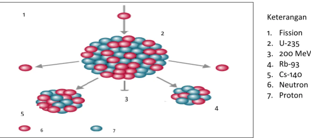 Gambar 1. Reaksi fisi (Net Sains, 2009). 