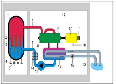 Gambar 4. Skematik reaktor jenis BWR (Buongiorno, 2003). 