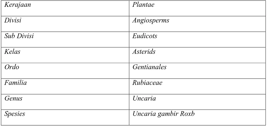 Tabel 2.1. Taksonomi Tanaman Gambir (Keplinger, 1999) 