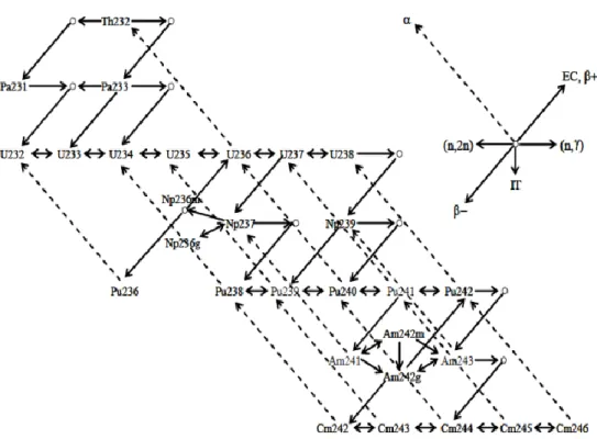 Gambar 4. Siklus reaksi thorium (Okumura et al., 2002). 