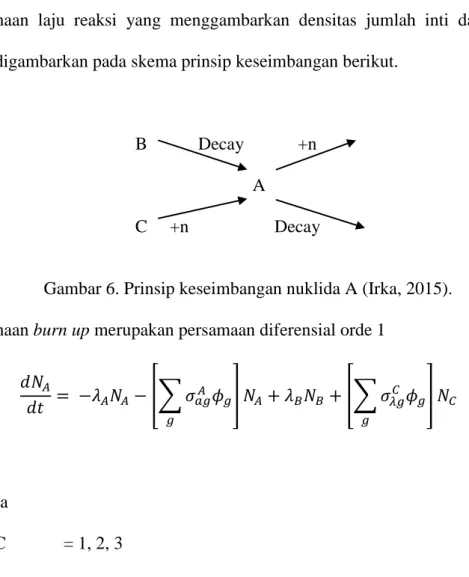 Gambar 6. Prinsip keseimbangan nuklida A (Irka, 2015). 