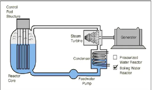 Gambar 7. Skematik Reaktor Jenis BWR (Pramuditya dan Waris, 2005) 