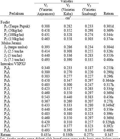 Tabel 6. Volume Akar (cm3) pada perlakuan varietas, fosfat dan mulsa jerami pada umur 18 HST 
