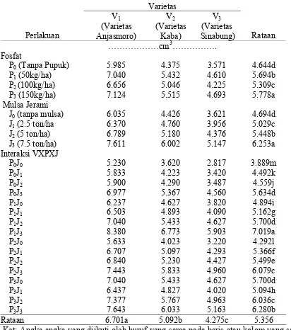 Tabel 7. Volume Akar (cm3) pada perlakuan varietas, fosfat dan mulsa jerami pada umur 36 HST