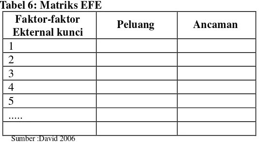 Tabel 6: Matriks EFE 