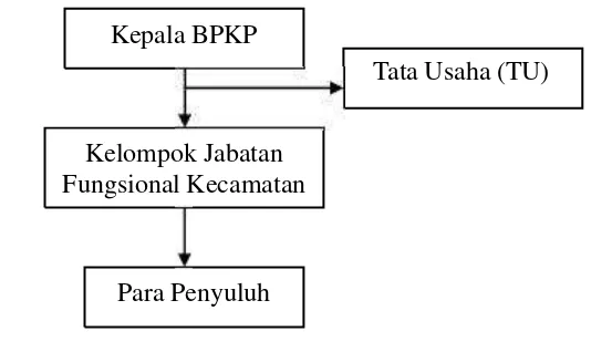 Gambar  6. Struktur Organisasi Balai Penyuluhan dan Ketahanan Pangan(BPKP) 