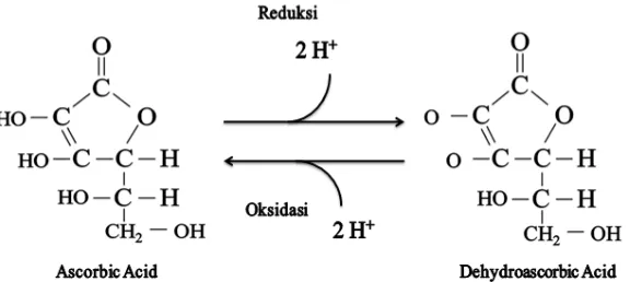 Gambar 2.1.4.2. Reaksi reduksi dan oksidasi asam askorbat 