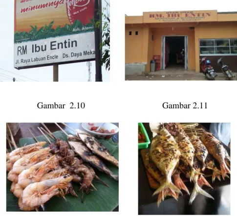 Gambar  2.12                             Gambar   2.13 