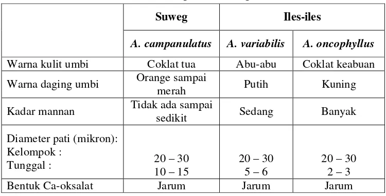 Tabel 2. Ciri-ciri morfologi umbi suweg dan iles-iles 