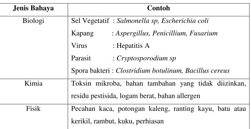 Tabel 1. Jenis-Jenis Bahaya 
