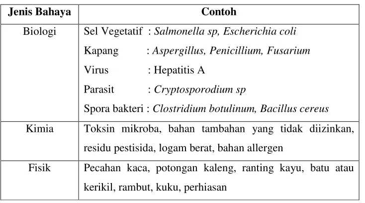 Tabel 1. Jenis-Jenis Bahaya 
