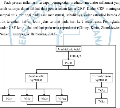 Gambar 1.1 Bagan Biosintesis Prostaglandin (King, 2014) 