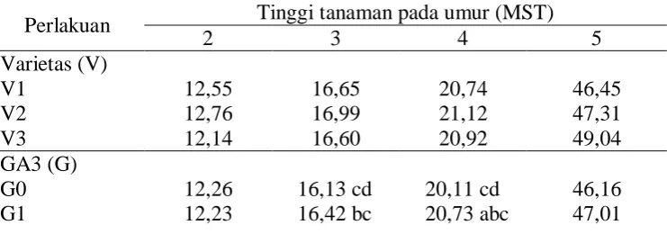 Tabel 1. Rataan tinggi tanaman terhadap varietas dan pemberian GA3 pada                 2 – 5 MST  