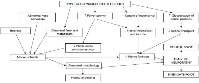 Gambar 5. Patogenesis Neuropati Diabetik. Sumber: (Greene, 1997 dalam 