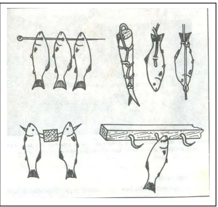 Gambar 3. Cara penggantungan dan penyusunan ikan 