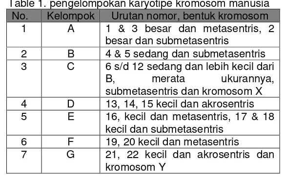 Table 1. pengelompokan karyotipe kromosom manusia 