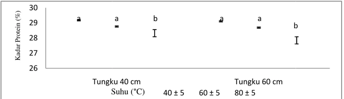 Gambar  3     Hasil  uji  kadar  prot 40±5 o C,  60±5 o C  dan  80±a2627282930 TungkuKadar Protein (%)S