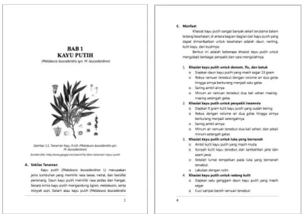 Gambar 2.3 Layout  Sumber : www.leutikaprio.com 