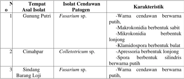 Tabel  1  Isolat  Cendawan  Patogen  Penyebab  Layu  Daun  pada  Tanaman  Cabai  di  Bogor  N o  Tempat Asal Isolat  Isolat Cendawan Patogen  Karakteristik 