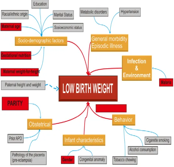 Gambar  2.  Conceptual  framework  of  risk  factor  of  adverse  pregnancy  outcome  (APO)