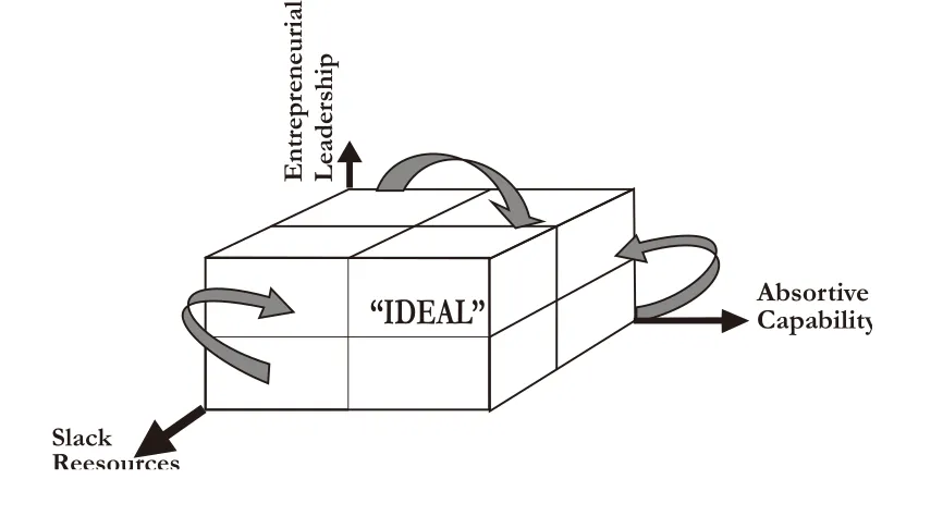 Figure 2. Technology Adoption Organization in a 3D Matrix