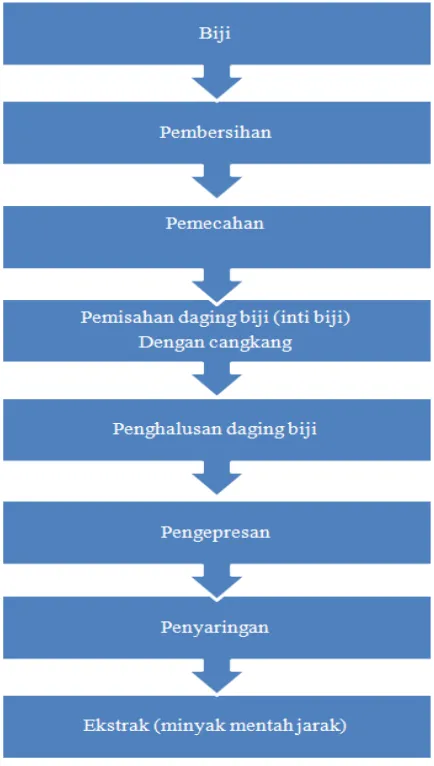 Gambar 1. Skema pembuatan ekstrak biji jarak pagar                                           (Nurcholis dan Sumarsih, 2011) 