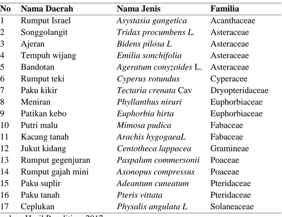 Tabel 4.1 Jenis-jenis tumbuhan herba yang terdapat di Kuta Malaka pada Stasiun 1 bagain pintu masuk wisata air terjun Kuta Malaka